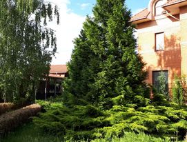 Оренда великого будинку на свята з красивою територією. Басейн, альтанка, більярд, теніс, фото №2