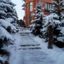 Оренда великого будинку на свята з красивою територією. Басейн, альтанка, більярд, теніс, фото №9