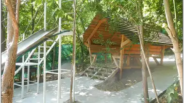 Аренда беседки у воды Днепр «Солнечный день» на ж/м Солнечный