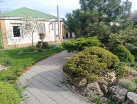 Будинок подобово з басейном на березі річки Дніпро фото №5