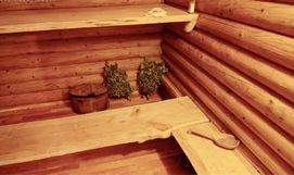 Оренда будинку з сауною на березі річки Вільшанка фото №4