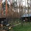 Оренда будинку з сауною на березі річки Вільшанка фото №14