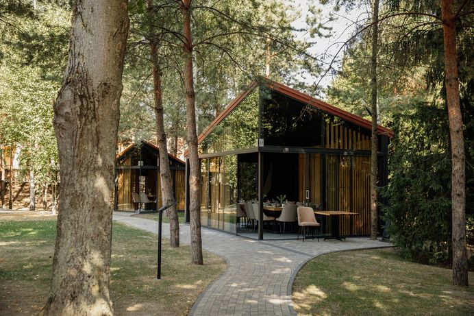 Срібні лелеки фото