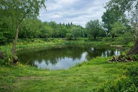 Оренда території з альтанками біля води для Дня народження, корпоративу, весілля фото №4