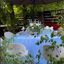 Credo terrace фото №7