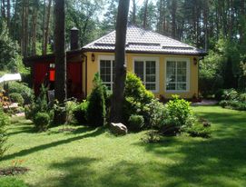 Будинок у лісі, велика тераса фото №5
